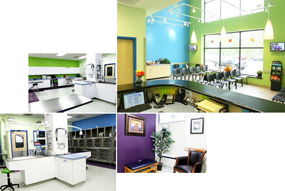 Portage Park Animal Hospital
