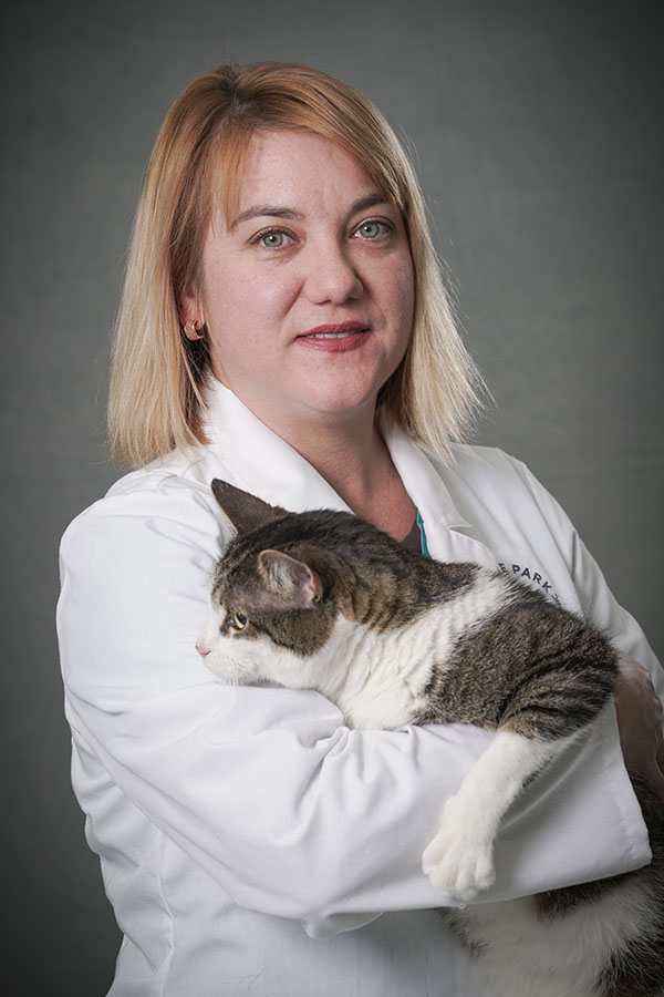 Veterinary Team Chicago, Logan Square, Albany Park IL