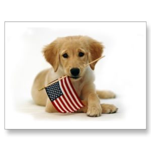 flag-dog