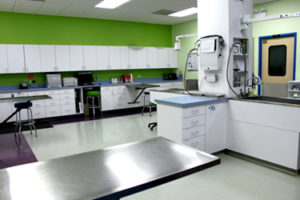 Inside View of Portage Park Vet Clinic
