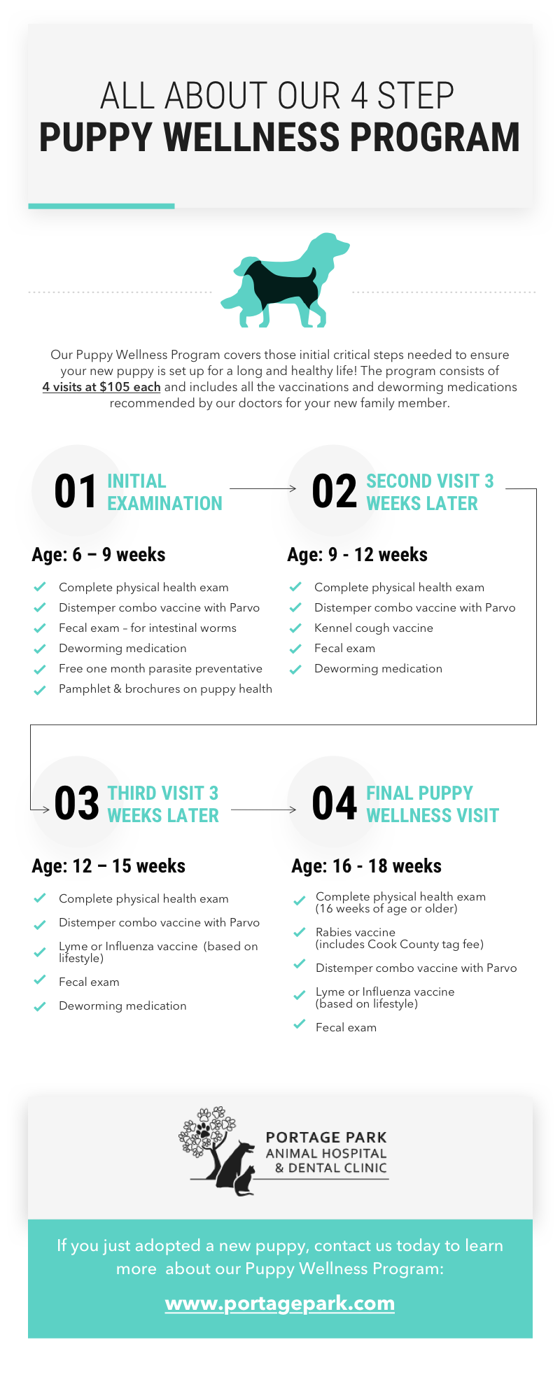 Puppy Wellness Vet Chicago Logan Square Albany Park Il