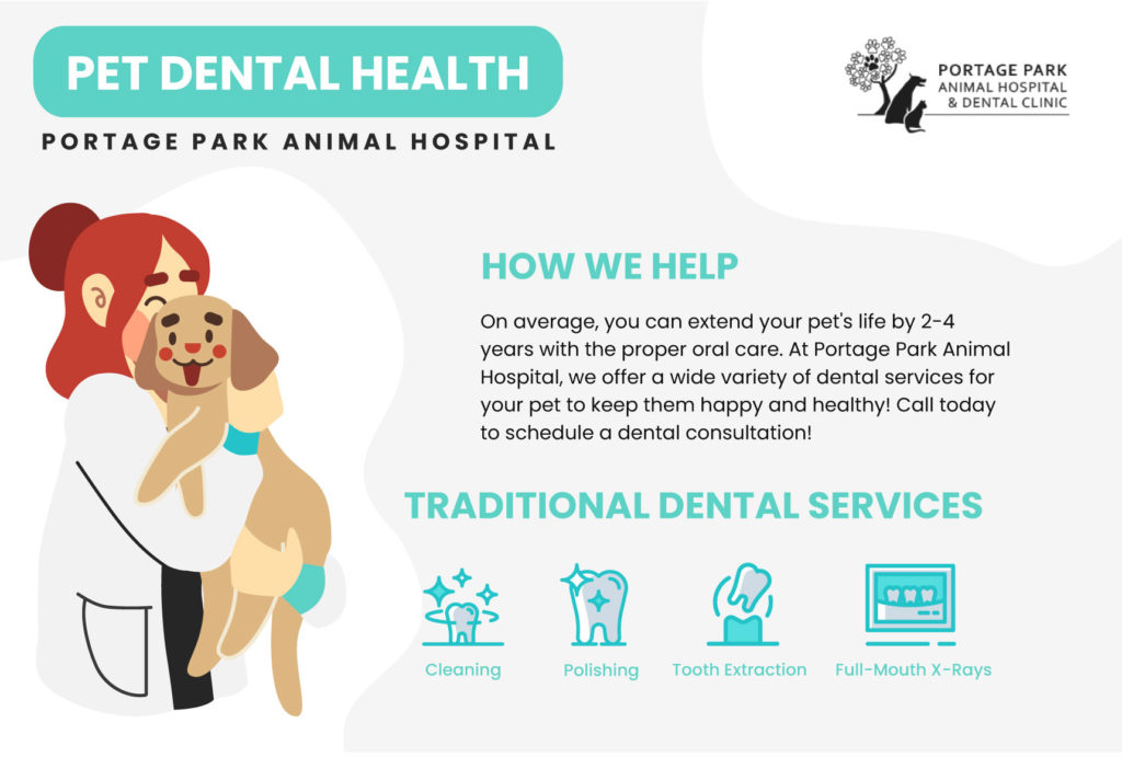 Infographic Detailing Dental Health Services