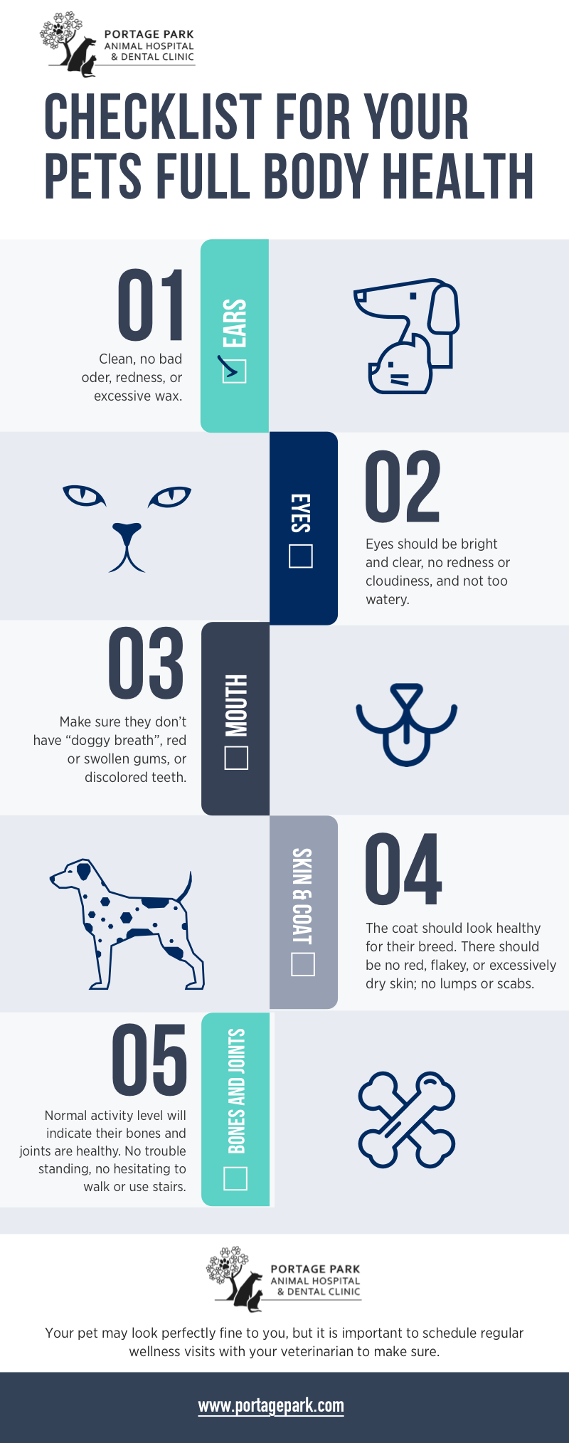 Infographic detailing checklist for regular health pet exam