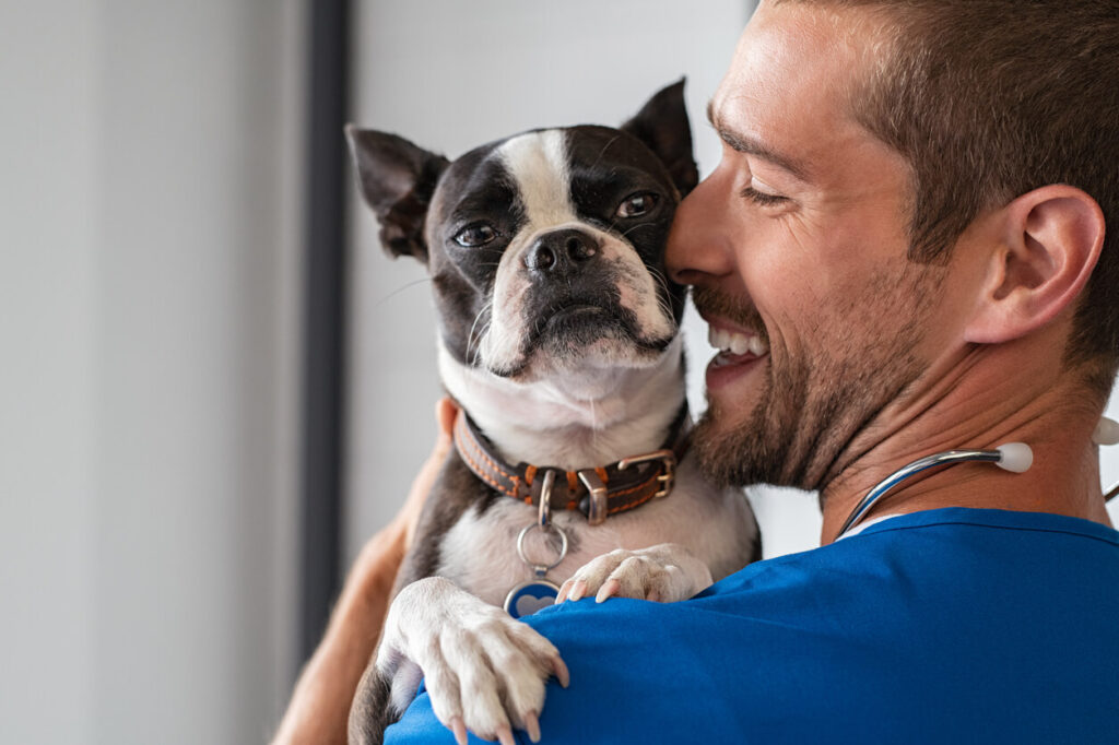 Attractive male veterinarian hugs cute black and white dog