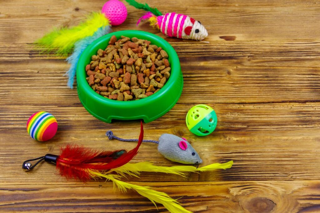 Why Cats Put Toys in Their Food Bowl
